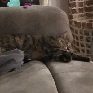 Meet your Posher, Kristi